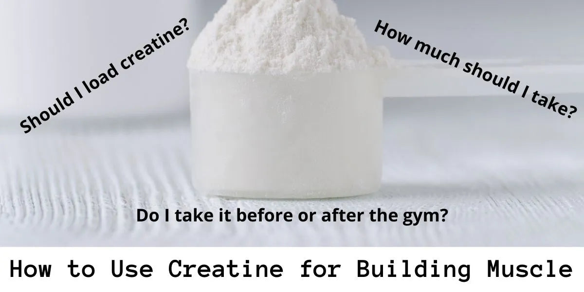 Creatine Building Blocks How to Use Creatine for Building Muscle – Better Body Sports